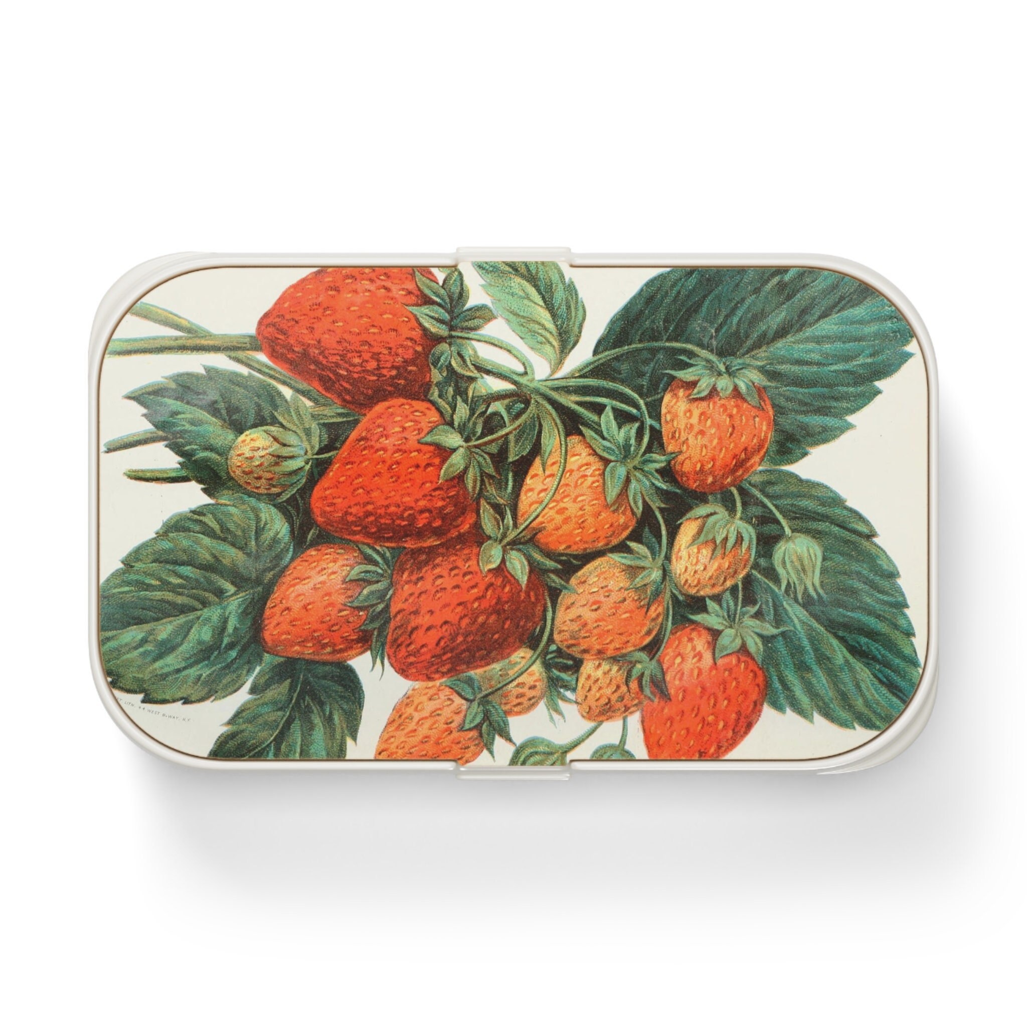 Discover Strawberries Bento Box, Cute Botanical Vintage Strawberry Art Asian Lunch Box
