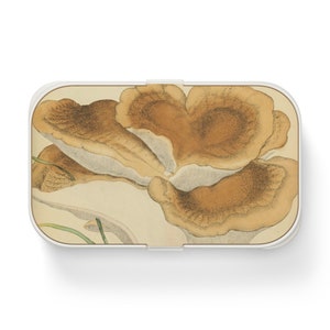 Mushroom Bento Box for Adults, Boletus Cottagecore, Japanese Lunch Box, Boho Lunch Box, Asian Bento Box, Nature Aesthetic Desk Decor