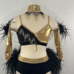 Dance Costume- Child X-Large- Semi-Custom