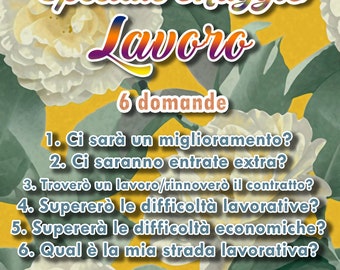 6 DOMANDE LAVORO (metà prezzo, entro 24 ore)