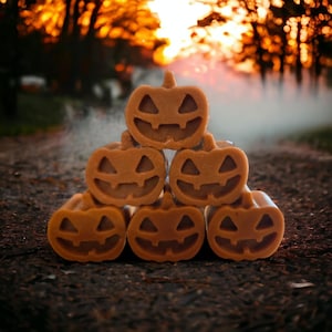 Pumpkin Wax Melts 10 Pack