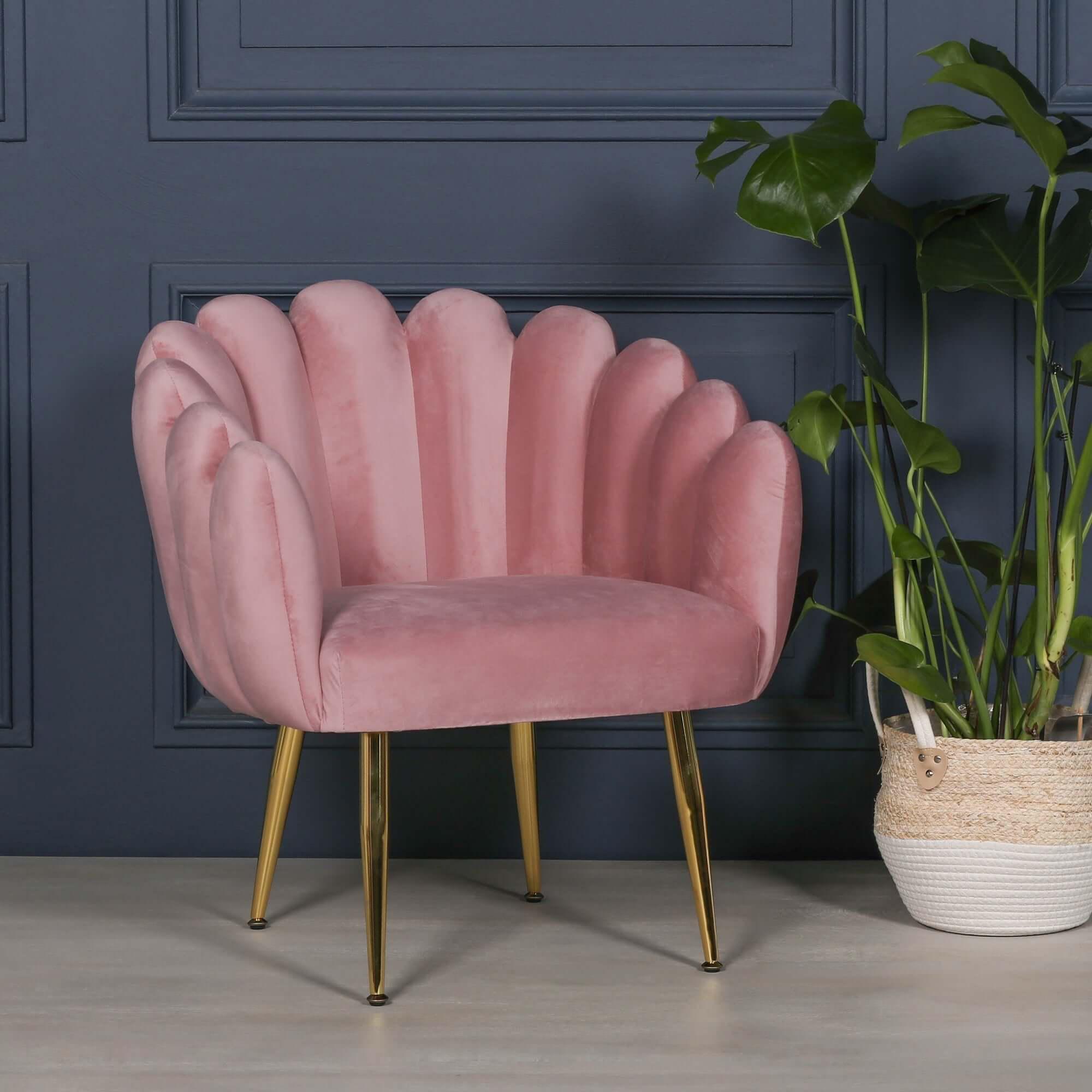 Pink Velvet Shell Chair With Gold Legs Scalloped Occasional Style Etsy