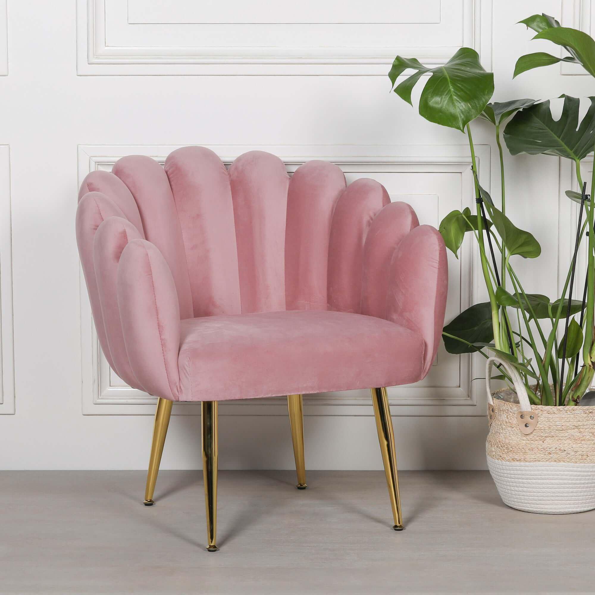 Pink Velvet Shell Chair With Gold Legs Scalloped Occasional Style Etsy
