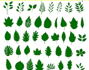 Leaf SVG Bundle, Cut Files, Card Making, Scrapbooking (Digital Download)