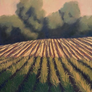 Summer Fields