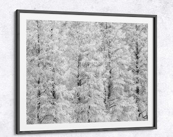 Eisiger Winterwald Fotodruck, Schwarz-Weiße Minimalistische Wandkunst