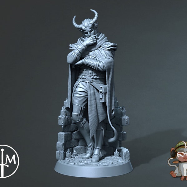 Malloi, The Dark | Tiefling Warlock | High Quality Dungeons and Dragons Miniature 3D Print | Claymore Miniatures  | 40mm | 90mm