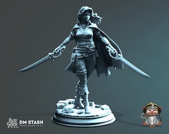 May include: A detailed, grayscale figurine of a female warrior, holding two swords. She wears a cloak, fitted top, pants, and boots. The figure stands on a circular base with a textured surface. The DM STASH logo is visible.