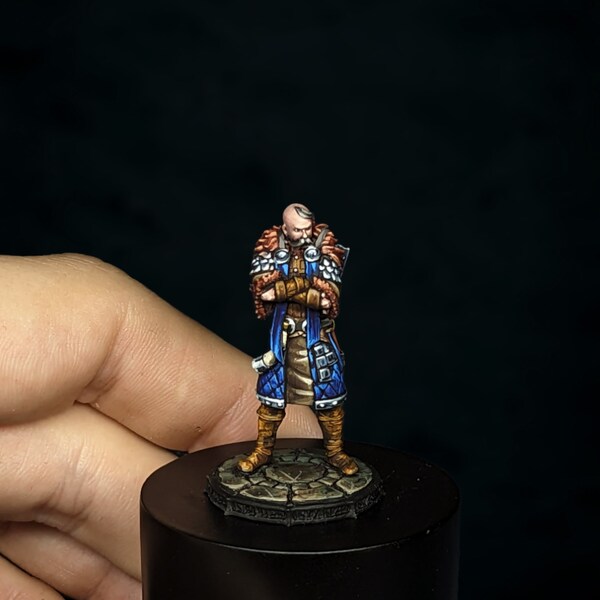 Barde / Personnage / Grimdark / Miniature Peinte / Donjons et Dragons / DnD