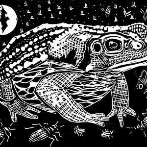 Toad lino print in black and white