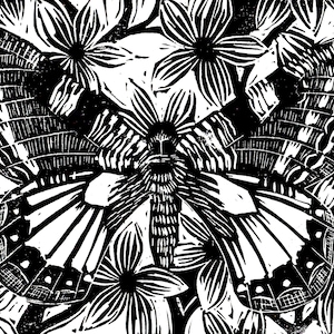 Butterfly lino print in black and white