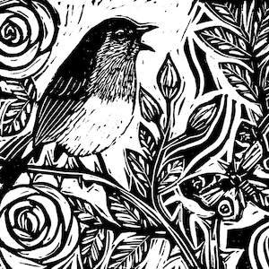 Robin lino print in black and white