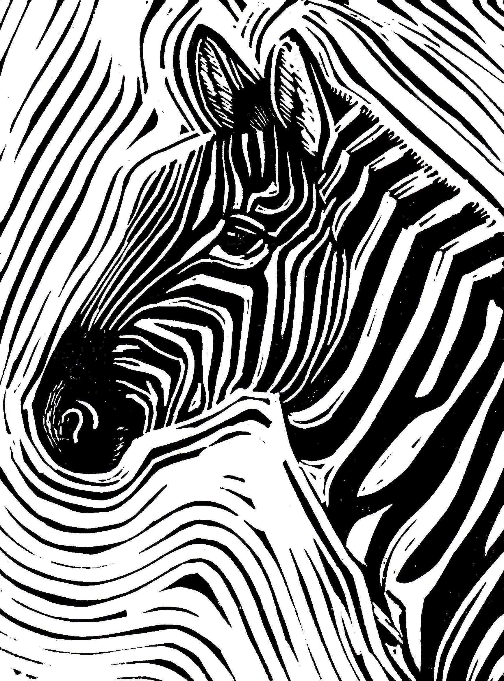 Zebra Lino Print In Black And White Etsy