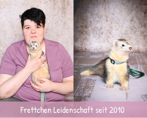 Ferret Harness Ferret Head Small Accessories Collar Etsy