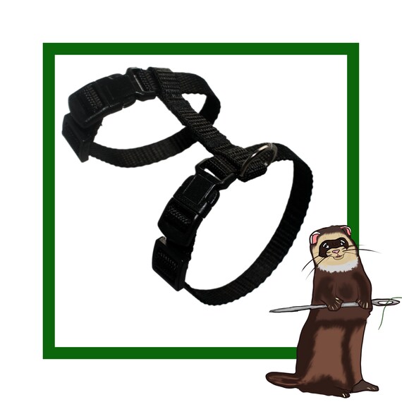 Ferret leash top