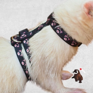 Ferret Head  Harness Small Accessories  Collar