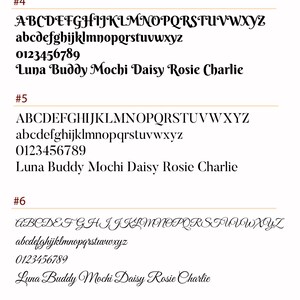 Peut inclure: Trois styles de police diff&eacute;rents sont affich&eacute;s en noir sur fond blanc. Les styles de police sont &eacute;tiquet&eacute;s #4, #5 et #6. Chaque style de police comprend des lettres majuscules et minuscules, les chiffres de 0 &agrave; 9 et les noms Luna, Buddy, Mochi, Daisy, Rosie et Charlie.