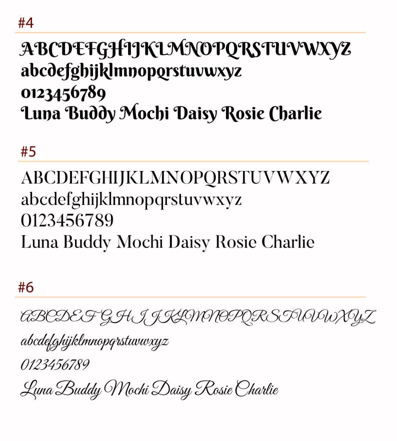 Peut inclure: Trois styles de police diff&eacute;rents sont affich&eacute;s en noir sur fond blanc. Les styles de police sont &eacute;tiquet&eacute;s #4, #5 et #6. Chaque style de police comprend des lettres majuscules et minuscules, les chiffres de 0 &agrave; 9 et les noms Luna, Buddy, Mochi, Daisy, Rosie et Charlie.