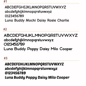 Peut inclure: Une image en noir et blanc avec trois sections num&eacute;rot&eacute;es. Chaque section montre l'alphabet en majuscules et en minuscules, les chiffres de 0 &agrave; 9 et une liste de noms. Les noms de la section 1 sont Luna, Buddy, Mochi, Daisy, Rosie et Charlie. Les noms des sections 2 et 3 sont Luna, Buddy, Poppy, Daisy, Milo et Cooper.