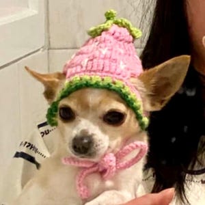 犬と猫用の手作りベビーピンクのストロベリービーニー