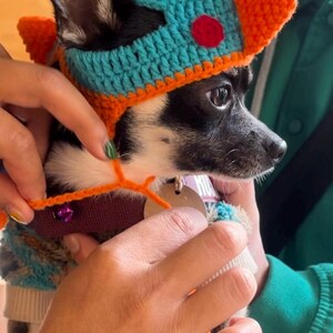 Handmade Crochet Dinosaurs beanie for cats and small dogs