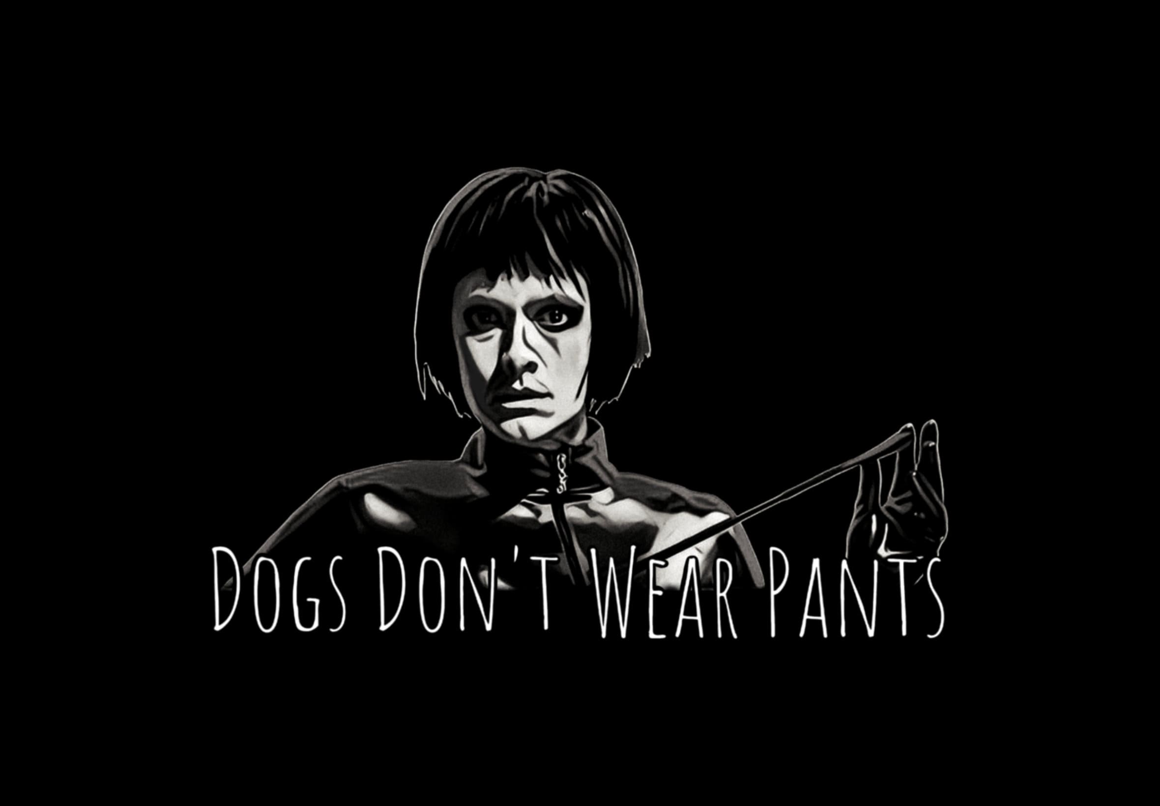 窒愛診療室DVD，Dogs Don t Wear Pants 台灣正版全新110/7/23發行| 蝦皮購物
