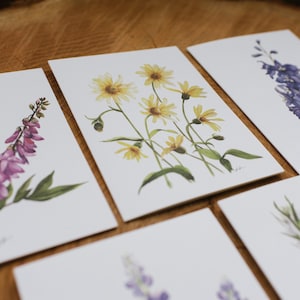 Wildblumen Aquarell Grußkarten