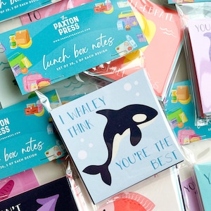 Pack of 20 Lunch Box Notes - Sea Creatures