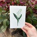 see more listings in the Seed Paper Cards section