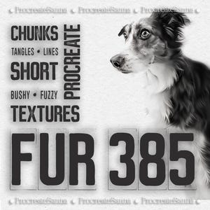 Procreate Fellbürsten - realistische Fellbürsten - Procreate Stempel - Pinselset Tierhaarfell - FUR BUNDLE