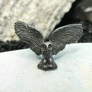 Anime The Owl House Cast Witches Before Wizard Enamel Brooch