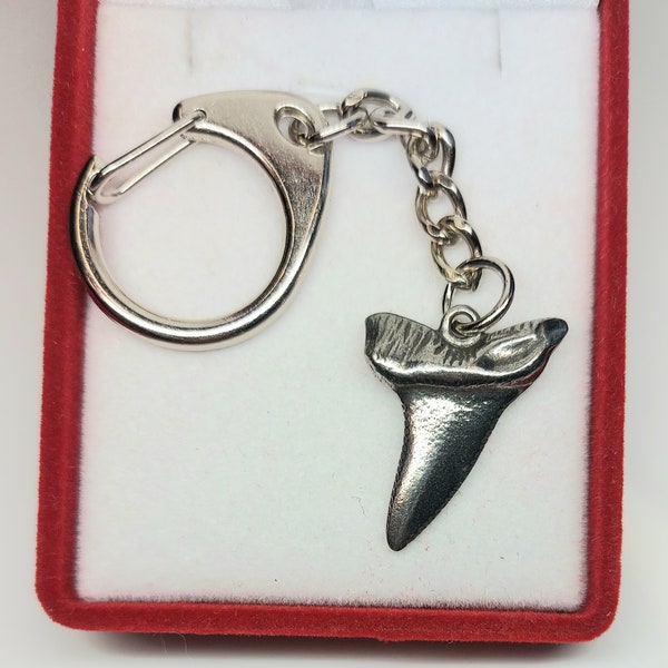 Shark Tooth Keychain Etsy