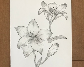 Lily Ink Drawing Print, botanical line art, floral art, floral line drawing, downloadable art print, minimalist art