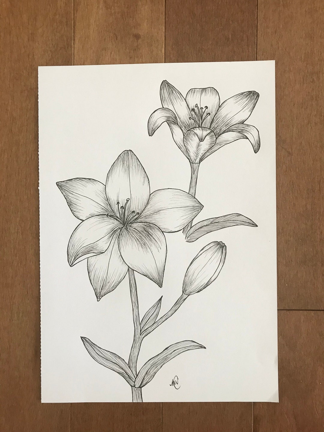Lily Ink Drawing Print, Botanical Line Art, Floral Art, Floral Line