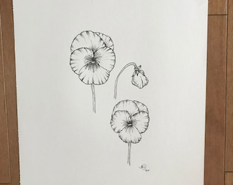 Pansy Ink Drawing Print, botanical line art, floral art, floral line drawing, downloadable art print, minimalist art