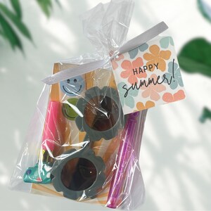 Summer Pool Party Favors, Party Favors für Kinder Pool Party, Party Goodie Bag Füllstoffe, Geburtstagsparty Goodie Bags, Kinder Sommer Party Favor