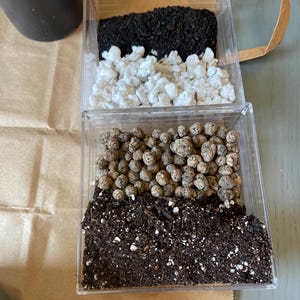Nursery1621s’ Aroid soil mix can give your plant what they are missing!