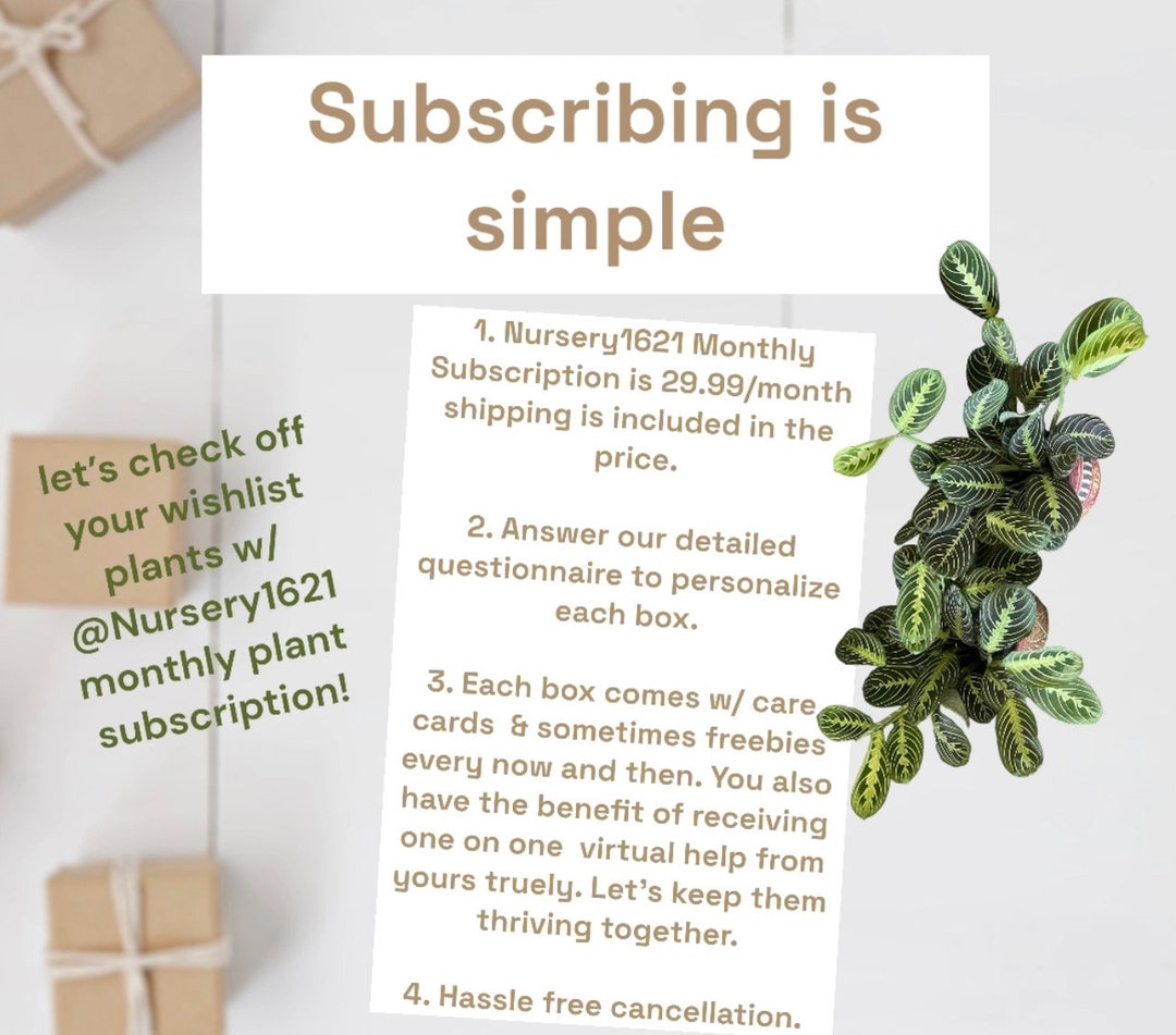 Monthly Plant Subscription Etsy