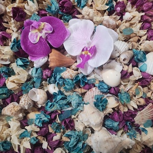 Könnte beinhalten: Dekorative Anordnung mit zwei Orchideenblüten, einer lila und einer weißen, umgeben von Muscheln, Trockenblumen und türkisfarbenen Akzenten. Die Komposition erzeugt eine natürliche, strukturierte Ästhetik.