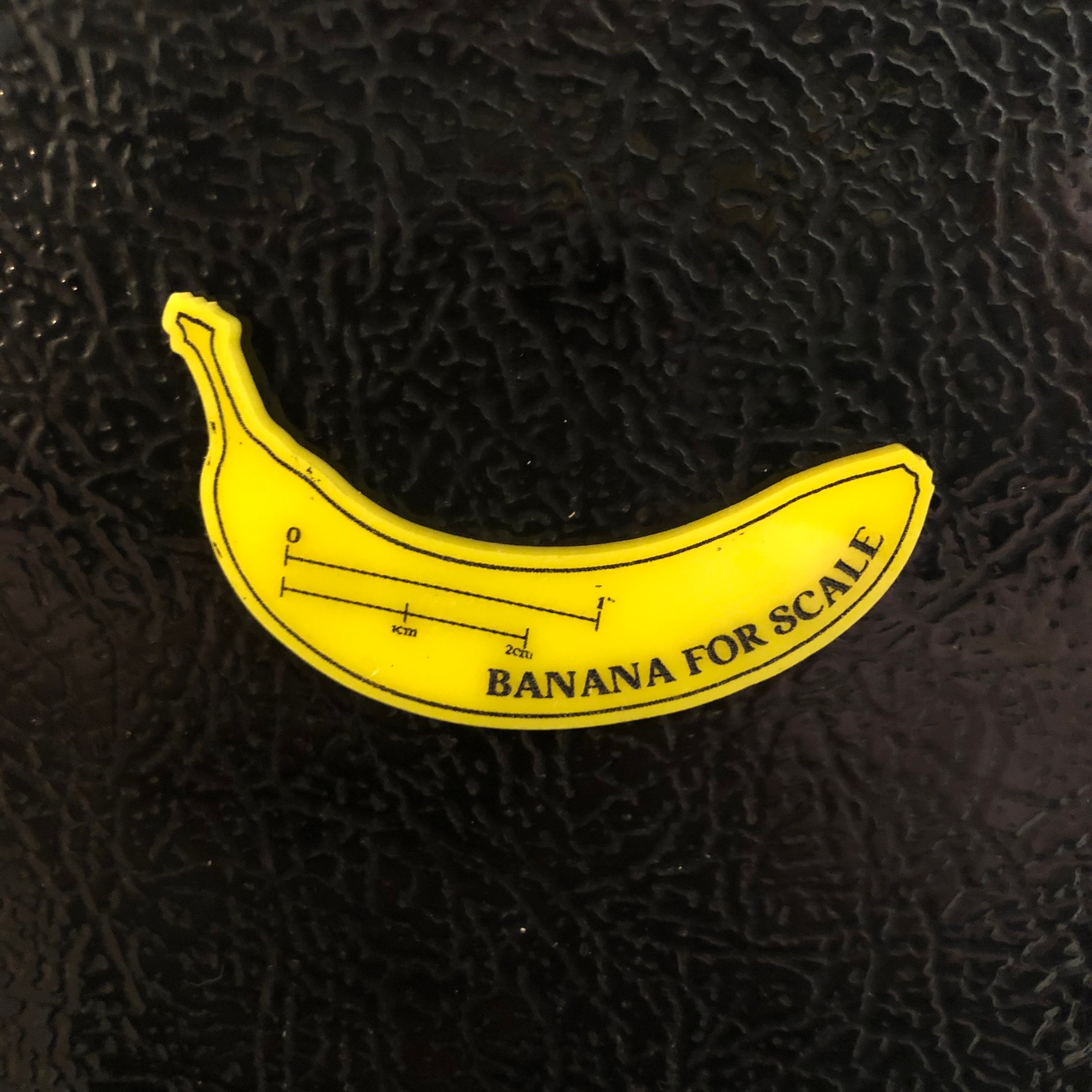 Banana For Scale Ruler Magnet – Alum and Ink