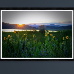 Mountain sunrise photography, Printable art of summer sunrise, Photography of sunflowers by lake at morning, Modern farmhouse wall hanging.