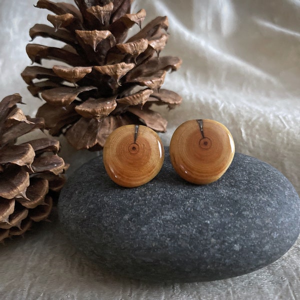 Handmade wood stud earrings from a spruce tree, Wood and resin earrings made from fallen tree branches, Unique nature gift for you or anyone