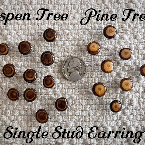 Men's single wood stud earring, Aspen & Pine stud earrings from fallen tree branches, You choose the one you want, Unique gift idea for him.