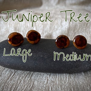 Large & medium stud earrings from fallen Juniper branches, Handmade woodland jewelry, Eye-Catching unique gift for anyone, Boho jewelry.