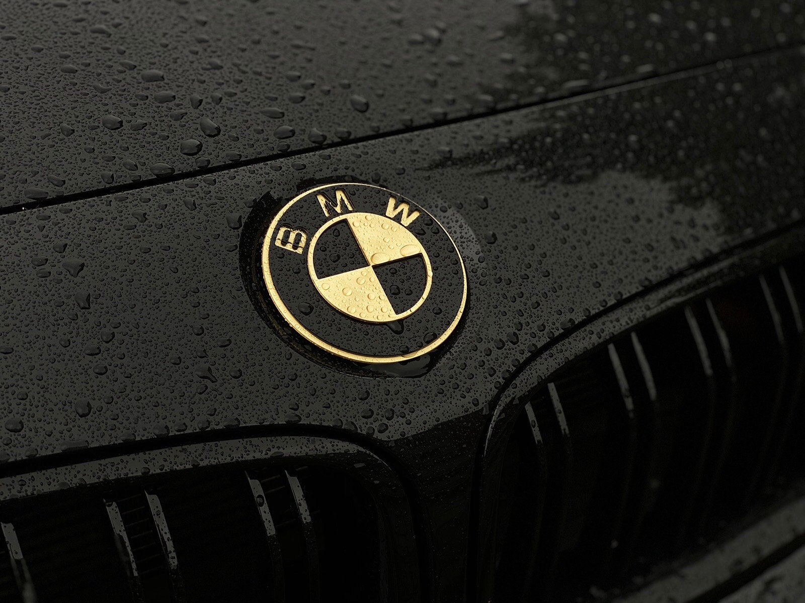 BMW emblems change, Replace BMW logo, Replace BMW emblem 