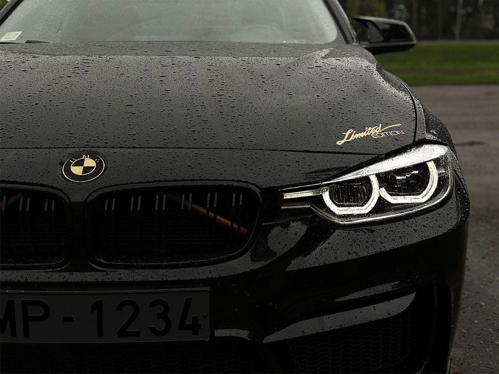 BMW Emblem From Brass / Black and Gold BMW Logo Made of Very High