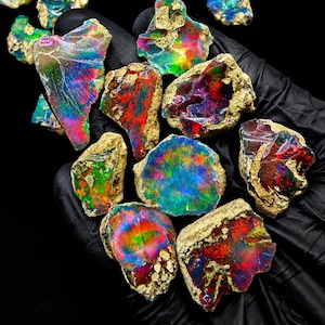 May include: A collection of raw, unpolished opal stones featuring vibrant flashes of iridescent color including red, green, blue, and yellow. Each stone displays a unique, irregular shape with rough, textured edges and a polished, reflective surface.