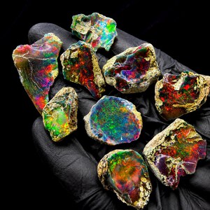May include: A collection of nine raw, unpolished opal stones featuring vibrant flashes of red, green, blue, and purple color play. Each stone displays a unique, irregular shape with a rough, textured exterior and a polished, iridescent face.