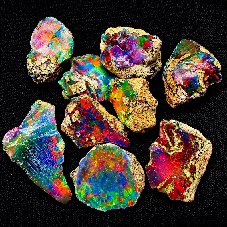 May include: A collection of eight raw opal specimens featuring vibrant flashes of red, green, blue, and yellow color play. Each stone displays a unique, irregular shape with a rough, textured matrix backing and a polished, iridescent surface.