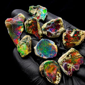 May include: A collection of nine raw, unpolished opal stones featuring vibrant flashes of red, green, blue, and purple color play. Each stone displays a unique, irregular shape with a rough, textured exterior and a polished, iridescent face.